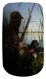 DAROYAL 312 Gone Hunting (Duck with Dog)